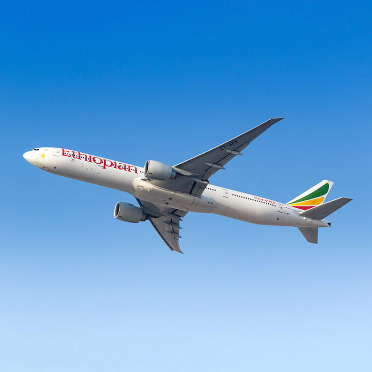 أرض الصومال تلغي التأشيرات للخطوط الإثيوبية وتتوعد فلاي دبي في تحدٍ لمقديشو 2026