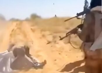 سقوط الفاشر يقلب الموازين: دعوات أمريكية عاجلة لتصنيف "قوات الدعم السريع" كـ "منظمة إرهابية" 2025