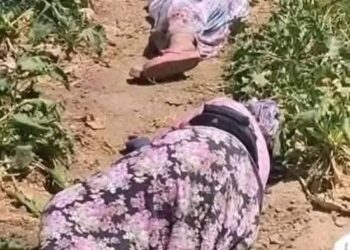 جامعة ييل الأمريكية: الدعم السريع يرتكب "تطهيرًا عرقيًا ممنهجًا وإبادة جماعية" في الفاشر 2025