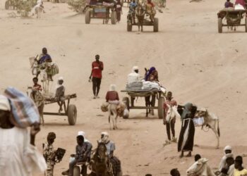 السودان: سقوط مدينة الفاشر بعد 18 شهرًا واتهامات بالتطهير العرقي تطال قوات الدعم السريع 2025