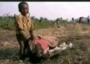 الدعم السريع يقصف "زريبة الشيخ البرعي" ويقتل ويُصيب طلاب خلوة لتحفيظ القرآن في الأبيض "فيديو" 2025