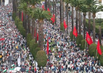 جيل زد يحرق صمت المغرب: بين صحة غائبة وتعليم مبتور وشارع مشتعل 2025