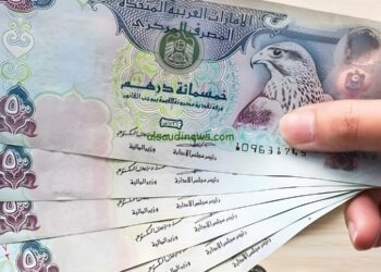 سعر الدرهم الإماراتي داخل مصر: قراءة في معادلات السوق والتوقعات القادمة 2025