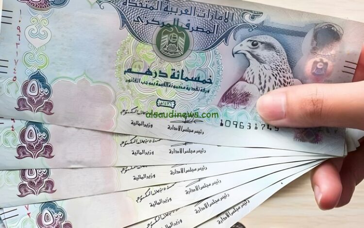 سعر الدرهم الإماراتي داخل مصر: قراءة في معادلات السوق والتوقعات القادمة 2025