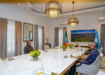 الرئيس الصومالي يزور أديس أبابا فجأة ويجتمع مع آبي أحمد لتعزيز العلاقات 2025