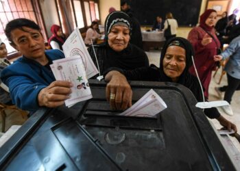 الرقم القومي يغير مشهد المشاركة في الانتخابات البرلمانية المصرية 2025 2025