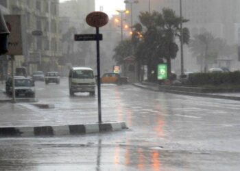 اليوم الخميس ١٢ نوفمبر ٢٠٢٥ … عواصف وبرودة تطرق أبواب مصر 7 اليوم الخميس ١٢ نوفمبر ٢٠٢٥ … عواصف وبرودة تطرق أبواب مصر 2025