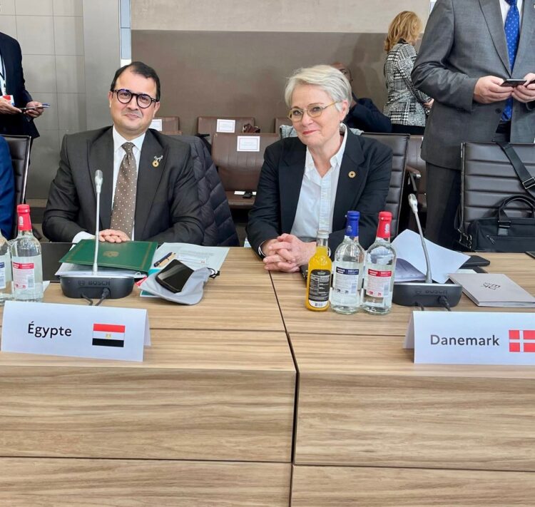 مصر تؤكد دعمها لإحلال السلام في منطقة البحيرات العظمى بمؤتمر باريس 2026