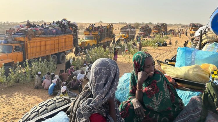مأساة الفاشر تصعّد النداءات: تحالف "صمود" يطالب بهدنة فورية لإنقاذ آلاف النازحين في السودان 2025