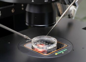 إسرائيل بين الحرب والخصوبة: سياسات الدولة لاستخراج الحيوانات المنوية من الجنود القتلى 2025