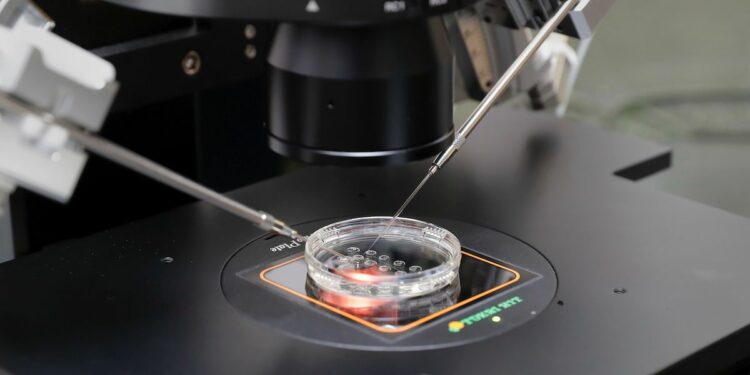 إسرائيل بين الحرب والخصوبة: سياسات الدولة لاستخراج الحيوانات المنوية من الجنود القتلى 1 إسرائيل بين الحرب والخصوبة: سياسات الدولة لاستخراج الحيوانات المنوية من الجنود القتلى 2025