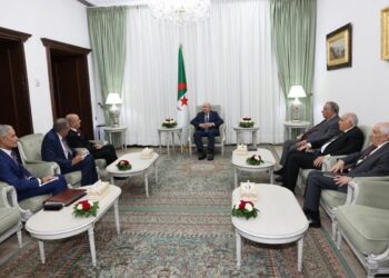 الآلية الثلاثية لدول الجوار الليبي: لا للتدخلات الخارجية.. ونعم للانتخابات والمصالحة الوطنية 2025