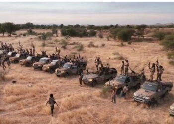 الأبيض على صفيح ساخن: قوات الدعم السريع تحشد لهجوم واسع والجيش يعزز دفاعاته 2025