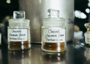 الرجل الذي "يزرع" العطر الأكثر شهرة في العالم - من أين يأتي الياسمين في شانيل رقم 5؟ 2025