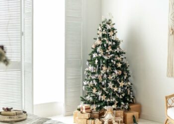 أين تضع شجرة عيد الميلاد؟ خريطة باغوا تحدد 3 مناطق لتعزيز الطاقة الإيجابية والرخاء في منزلك 3 أين تضع شجرة عيد الميلاد؟ خريطة باغوا تحدد 3 مناطق لتعزيز الطاقة الإيجابية والرخاء في منزلك 2025