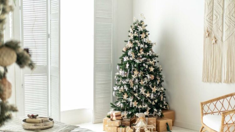 أين تضع شجرة عيد الميلاد؟ خريطة باغوا تحدد 3 مناطق لتعزيز الطاقة الإيجابية والرخاء في منزلك 2026