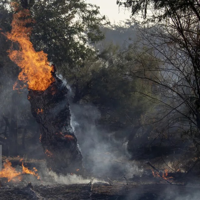 إيران تطلب دعما تركيا عاجلًا لإخماد حريق غابات مازندران بعد 20 يوما من الاشتعال 1 إيران تطلب دعما تركيا عاجلًا لإخماد حريق غابات مازندران بعد 20 يوما من الاشتعال 2025
