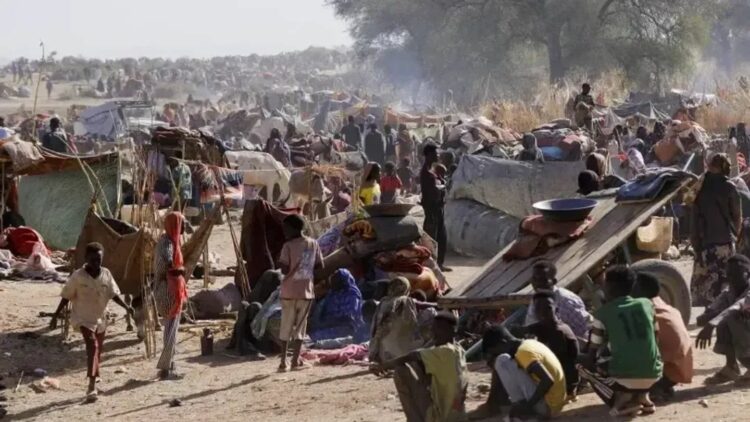كوردوفان تحترق: الحرب بين الجيش السوداني وقوات الدعم السريع تترك المدنيين ضحايا المعاناة 1 كوردوفان تحترق: الحرب بين الجيش السوداني وقوات الدعم السريع تترك المدنيين ضحايا المعاناة 2025