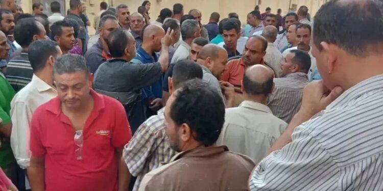 إضراب 1200 عامل في "العربية وبولفارا" مستمر.. عمال يواجهون الموت بعد انقطاع جلسات الكيماوي والتأمين الصحي 1 إضراب 1200 عامل في "العربية وبولفارا" مستمر.. عمال يواجهون الموت بعد انقطاع جلسات الكيماوي والتأمين الصحي 2025
