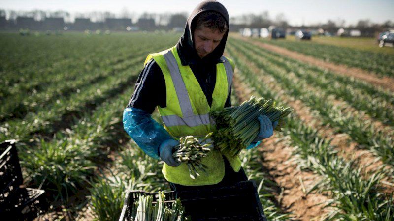 صحف عالمية تحذر: أوروبا تواجه زوالها إذا لم تستقبل المهاجرين 2025