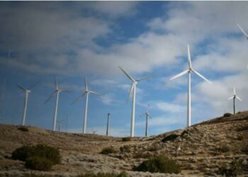 الإمارات تخصص مليار دولار لدعم قطاع الطاقة في اليمن وتعزيز التنمية المستدامة 2025