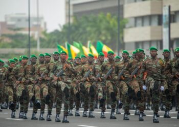 جيش بنين في أرقام: 13 ألف جندي وميزانية 75 مليون دولار 2 جيش بنين في أرقام: 13 ألف جندي وميزانية 75 مليون دولار 2025