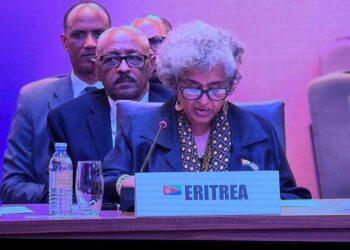 "مسرحية سلام" و"دعاية سد النهضة": دبلوماسية إريترية تتقارن خطاب آبي أحمد بتصريحات هاينريش هيملر النازي 9 "مسرحية سلام" و"دعاية سد النهضة": دبلوماسية إريترية تتقارن خطاب آبي أحمد بتصريحات هاينريش هيملر النازي 2025