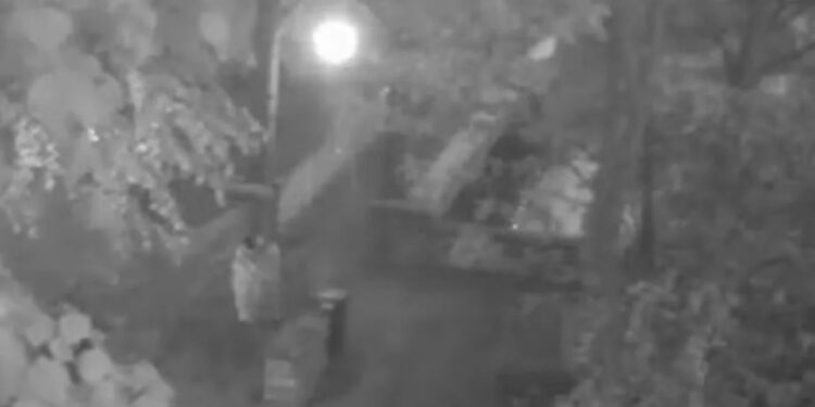 السجن لطالبي لجوء أفغانيين في بريطانيا بعد إدانتهما باغتصاب فتاة تبلغ 15 عاماً 1 السجن لطالبي لجوء أفغانيين في بريطانيا بعد إدانتهما باغتصاب فتاة تبلغ 15 عاماً 2025