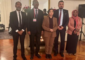 صمود تلتقي وزيرة التنمية الألمانية في أديس أبابا وتدعو لإنهاء "كارثة الحرب" في السودان 5 صمود تلتقي وزيرة التنمية الألمانية في أديس أبابا وتدعو لإنهاء "كارثة الحرب" في السودان 2025