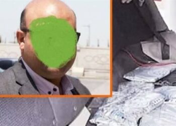 مصر: تفاصيل ضبط سائق محافظ الدقهلية بصفقة مخدرات قيمتها 3 ملايين جنيه 2025