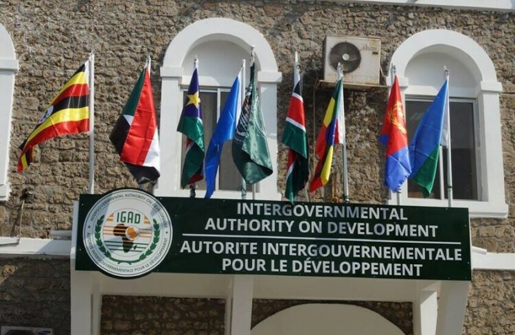 لماذا انسحبت إريتريا من «إيغاد» الآن وما علاقة إثيوبيا؟ 1 لماذا انسحبت إريتريا من «إيغاد» الآن وما علاقة إثيوبيا؟ 2025