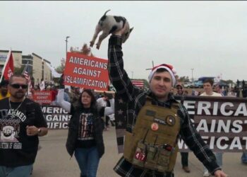 فيديو مثير للجدل : أمريكي يضع نسخة من القرآن الكريم في فم خنزير خلال احتجاج مناهض للإسلام فى تكساس 4 فيديو مثير للجدل : أمريكي يضع نسخة من القرآن الكريم في فم خنزير خلال احتجاج مناهض للإسلام فى تكساس 2025