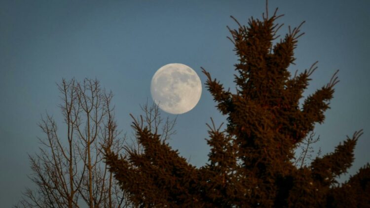 "قمر الذئب" يضيء السماء في 3 يناير 2026 ويؤثر على ثلاثة أبراج فلكية 2025