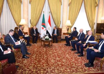 مباحثات مصرية جزائرية بالقاهرة لتعزيز التعاون الثنائي وتنسيق الرؤى حول غزة وليبيا والسودان 2025