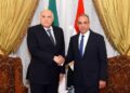 مصر والجزائر تؤكدان رفض أي تدخلات خارجية في الشؤون الإفريقية 2025