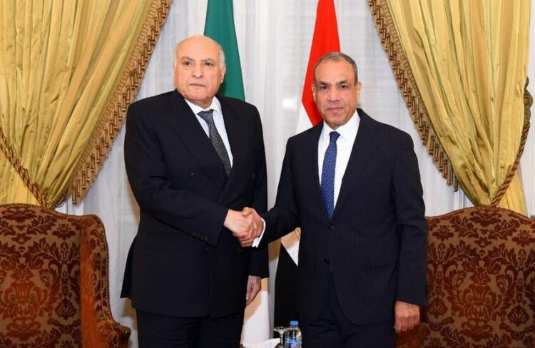 مصر والجزائر تؤكدان رفض أي تدخلات خارجية في الشؤون الإفريقية 2025