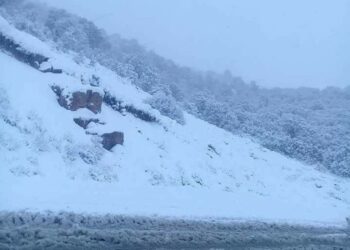 الجزائر تحت تأثير "المنخفض القطبي".. الثلوج تغلق مرتفعات الشمال وتحذيرات من أمطار رعدية 2025