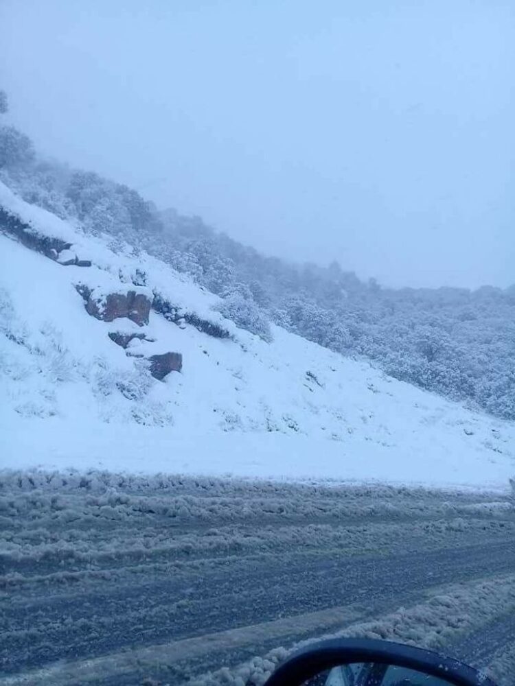 الجزائر تحت تأثير "المنخفض القطبي".. الثلوج تغلق مرتفعات الشمال وتحذيرات من أمطار رعدية 2025