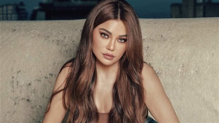 القصة الكاملة لفيديو هيفاء وهبي وزجها الخليجي ما علاقة مصر؟ 2025