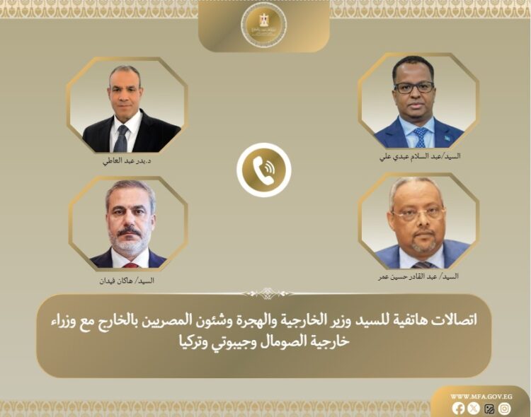 بعد اعتراف إسرائيل.. تحرك مصري تركي صومالي جيبوتي مكثف لمواجهة "سابقة خطيرة" في القرن الأفريقي 2025