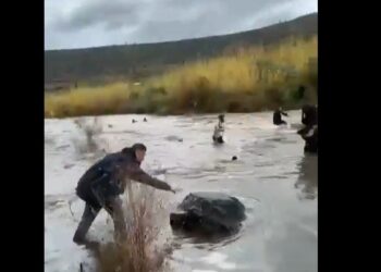 تضارب الروايات: دمشق تتحدث عن "إجبار" لاجئين على عبور النهر والجيش اللبناني ينفي قطعيًا 2025