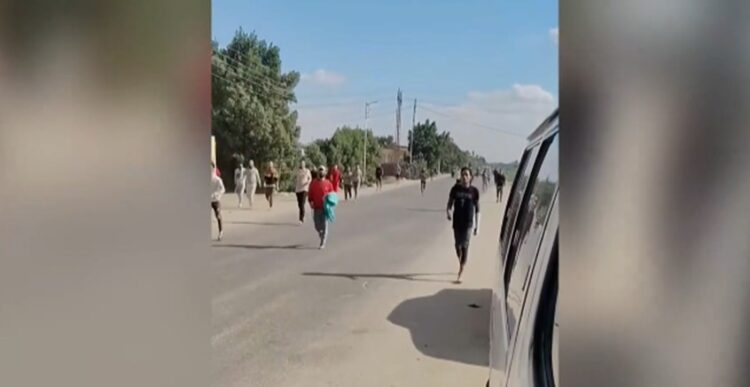 "مش بنتعالج.. إحنا بنتعذب" | كواليس "الهروب الكبير" من مصحة المريوطية وتحرك الصحة المصرية 1 "مش بنتعالج.. إحنا بنتعذب" | كواليس "الهروب الكبير" من مصحة المريوطية وتحرك الصحة المصرية 2025