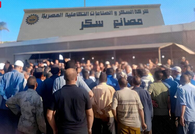 مصر: توسع احتجاجات "شركة السكر" لتشمل 8 مصانع.. والعمال يرفضون "عرض الـ 42 شهرًا" 2026
