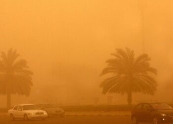 عاصفة ترابية تضرب جنوب مصر وتشل حركة الطيران والملاحة بأسوان وأبو سمبل 6 عاصفة ترابية تضرب جنوب مصر وتشل حركة الطيران والملاحة بأسوان وأبو سمبل 2026