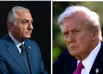 أكسيوس: مبعوث ترامب يلتقي "رضا بهلوي" سراً لرسم ملامح المرحلة الانتقالية في إيران 2026