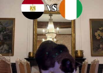 "نيمبوس" يثير قلق المصريين.. القط الشهير يتوقع خروج مصر أمام كوت ديفوار 2026