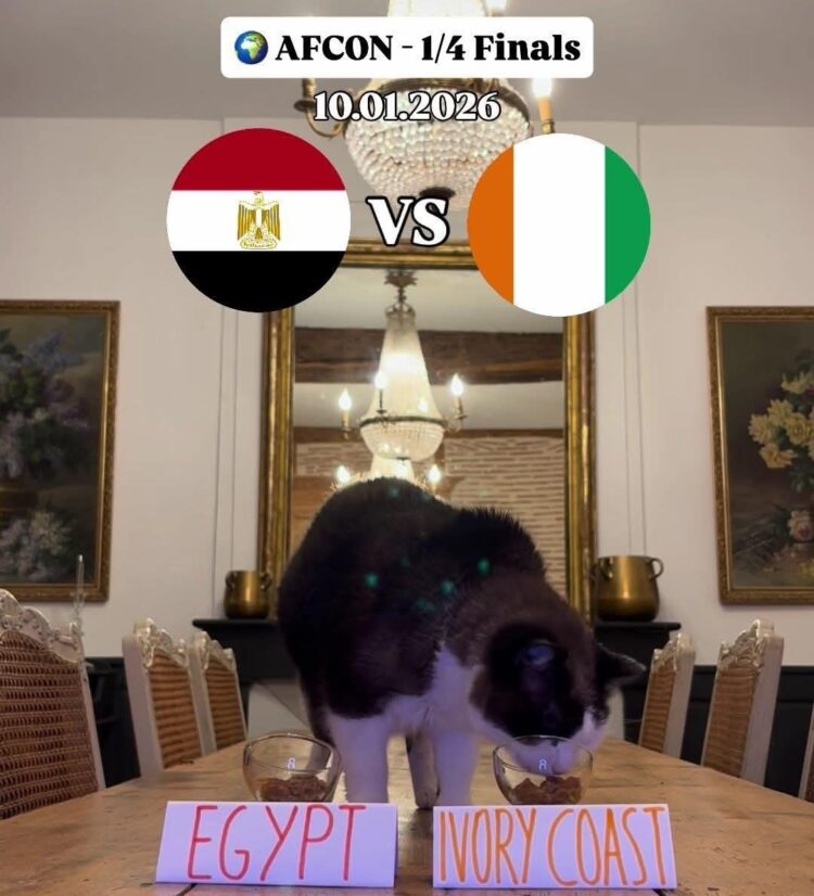 "نيمبوس" يثير قلق المصريين.. القط الشهير يتوقع خروج مصر أمام كوت ديفوار 1 "نيمبوس" يثير قلق المصريين.. القط الشهير يتوقع خروج مصر أمام كوت ديفوار 2026