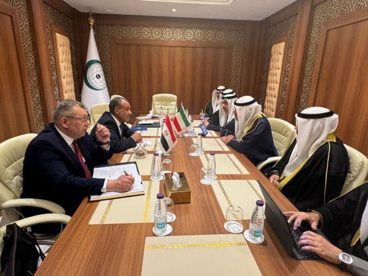 مصر والكويت تنسقان المواقف في جدة: غزة والصومال واليمن على رأس المباحثات 2026