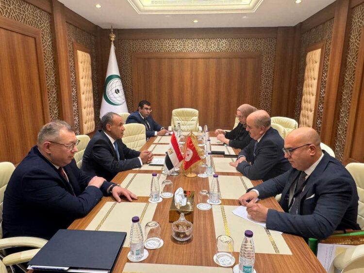 مصر وتونس تبحثان سبل تعزيز التعاون الاقتصادي والتنسيق الإقليمي حول ليبيا 2026