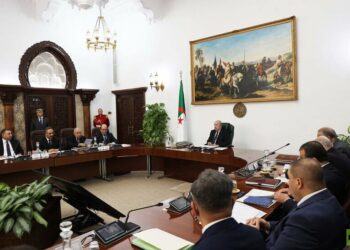 الجزائر تطلق مبادرة لتسوية أوضاع شبابها بالخارج في وضعيات هشة أو غير قانونية 2026